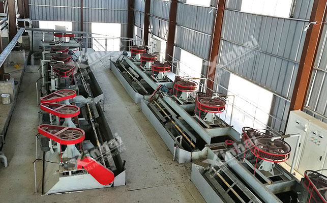 Single flotation beneficiation technology